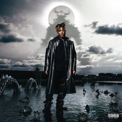 Juice WRLD  Fighting Demons  X2LPS