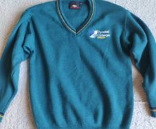Tyndall college jumper (size 33)