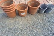 plant pots
