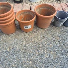 plant pots