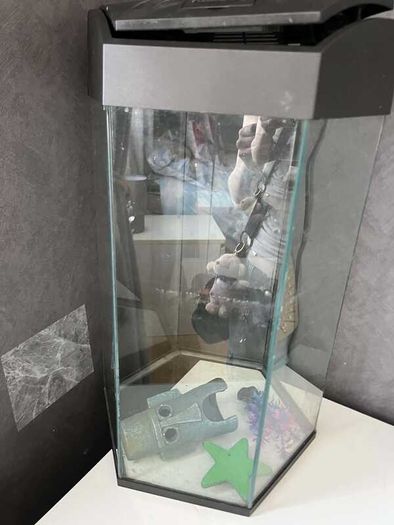 Fish Tank + Aquarium ornaments