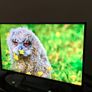 Lg 43" 4k Ultra Hd Smart Tv Image 4