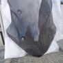 Sport windshield for BMW F900XR Image 2