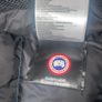 Canada Goose Image 4