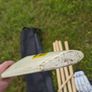 Gunn & Moore GM Maxi Select Adult Cricket Bat Image 9