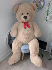 Giant Teddy Bear
