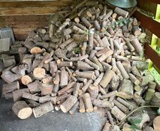 Firewood sticks