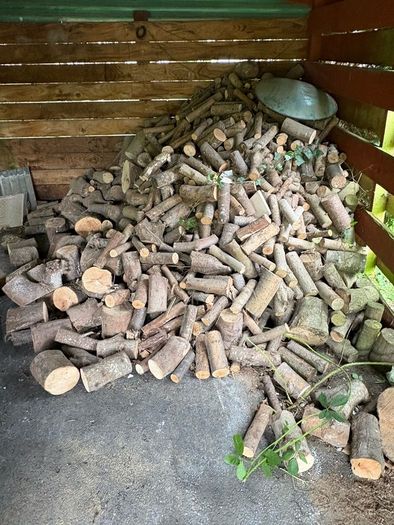 Firewood sticks