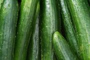 (C) Cucumber Green River H seeds 10s (111039)