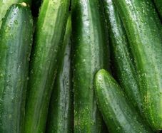 (C) Cucumber Green River H seeds 10s (111039)