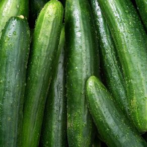 (C) Cucumber Green River H seeds 10s (111039)