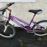 Bicycle Image 2