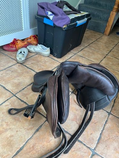 Horse saddle cavaletti collection, girt, stirrups