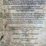 Sara Baume - Spill Simmer Falter Wither SIGNED Image 2