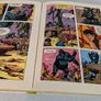 Tarzan annual 1971 Image 4