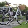 Ladies Bike Raleigh Caprice - 3 Speed Internal Gears Basket included Image 9