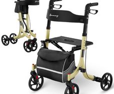 Walking Aid