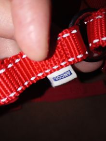dog harness