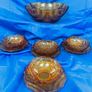 art deco dessert bowl set Image 5