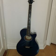 acoustic guitar