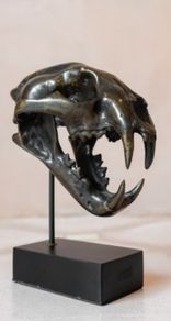 Sumatran Tiger Skull - Bronze, Metal/Wooden Stand