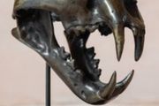 Sumatran Tiger Skull - Bronze, Metal/Wooden Stand