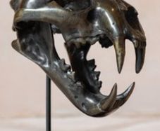 Sumatran Tiger Skull - Bronze, Metal/Wooden Stand