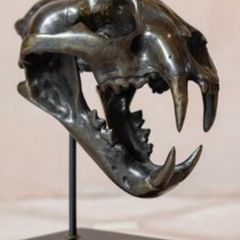 Sumatran Tiger Skull - Bronze, Metal/Wooden Stand