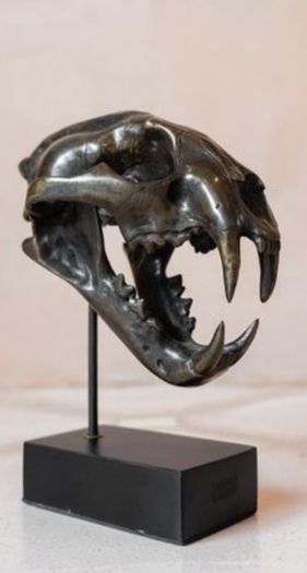 Sumatran Tiger Skull - Bronze, Metal/Wooden Stand