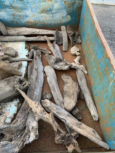 Substantial Collection of Old Bog Oak. Delivery by van can be arranged.