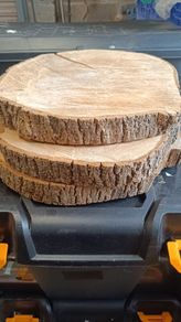 wood slices x3