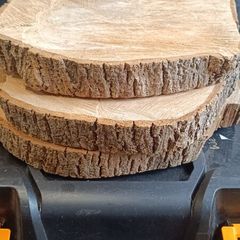 wood slices x3