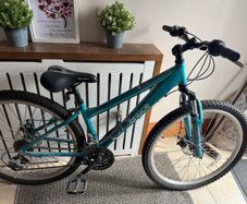 Apollo Entice Mountain Bike