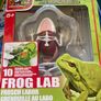 Dissect It (Frog)  from Slimy Lab. Image 2
