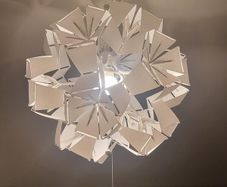 celing lights + bulb reduced  .. place offer