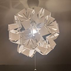celing lights + bulb reduced  .. place offer