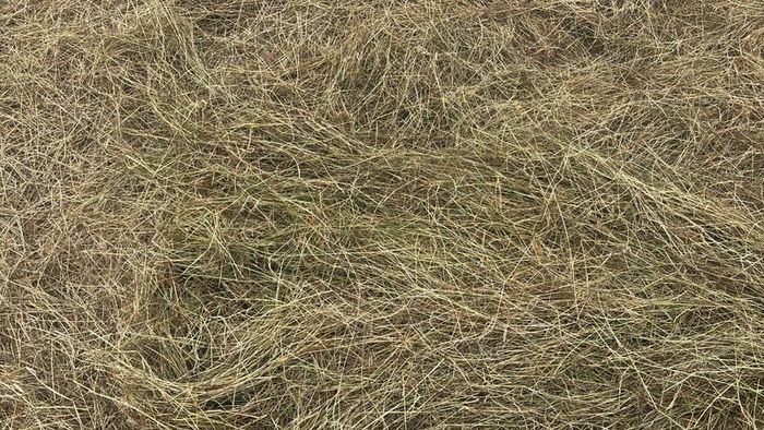 2025 And 2026 Haylage