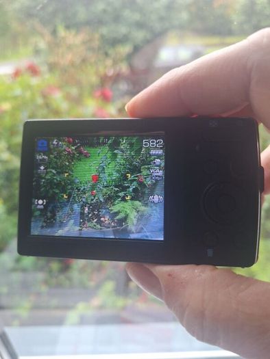 Medion 16MP Digital Camera  Red