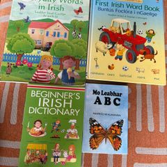 children's beginner Irish books