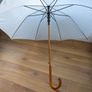 White Wedding Umbrellas Image 4