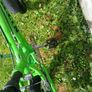 Kids bike Image 4