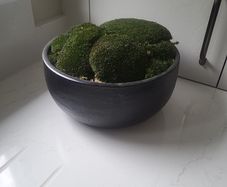 Preserved moss planter