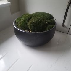 Preserved moss planter