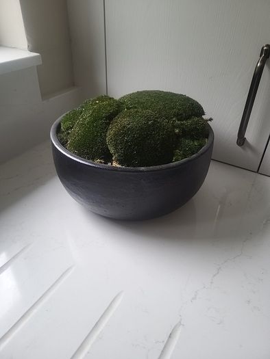 Preserved moss planter