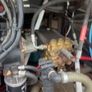 1200 litre Drainage / power hose machine Image 5