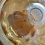 lampshade Image 3