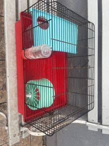 hamster /gerbil cage