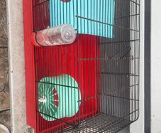 hamster /gerbil cage