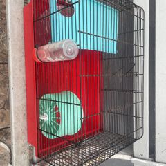 hamster /gerbil cage