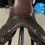 Falcon Saddle 14.5 Show Saddle/GP Image 3